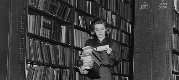 Biblioteka