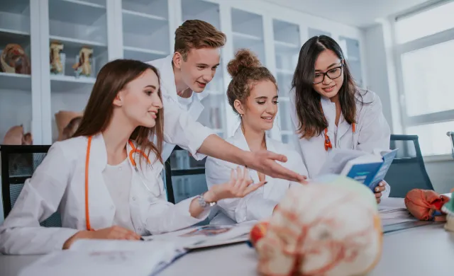partners of faculty of medicine