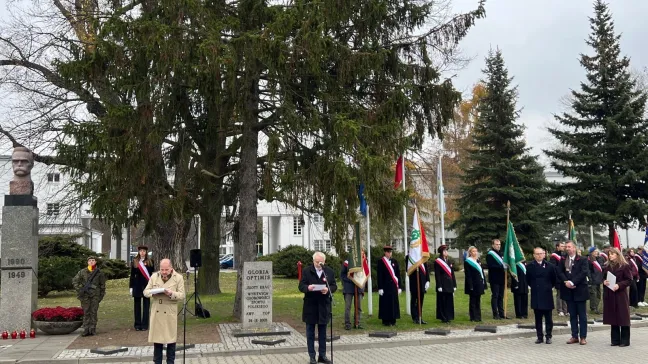 obchody święta niepodległości, grupa ludzi na uroczystości 