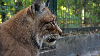 AnnaMarecka DSC 3631  1 
