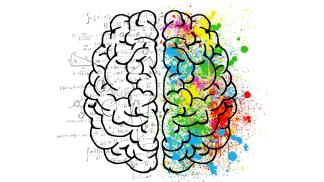 brain 2062057 1920