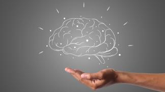 brain 4961452 1280