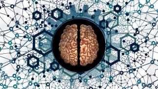 brain 5814971 1280
