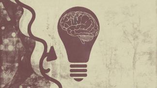 brain 5985480 1280