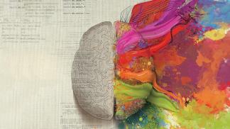 brain gf46244636 1920