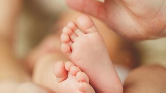 shutterstock 176952251