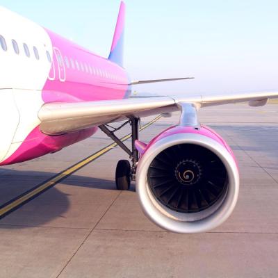 Wizzair Open Day at Lazarski University!