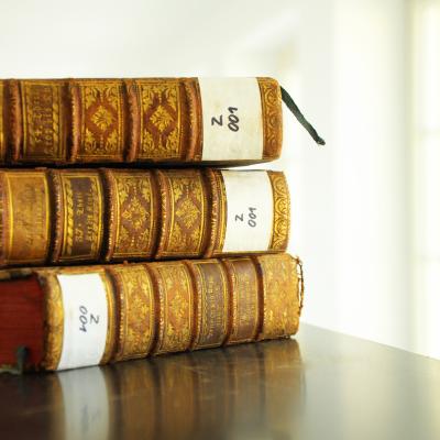 We invite you on the 8th of May to celebrate Librarian's Day!