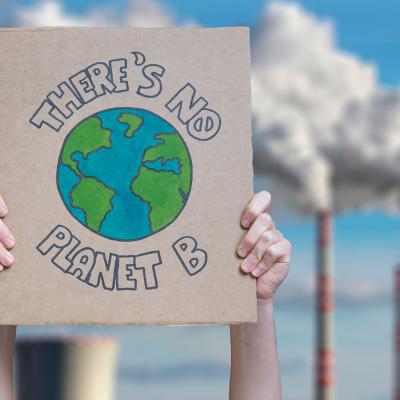 Czy Unia Europejska powinna starać się powstrzymać zmiany klimatyczne za wszelką cenę?