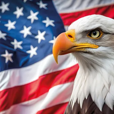 USA Day