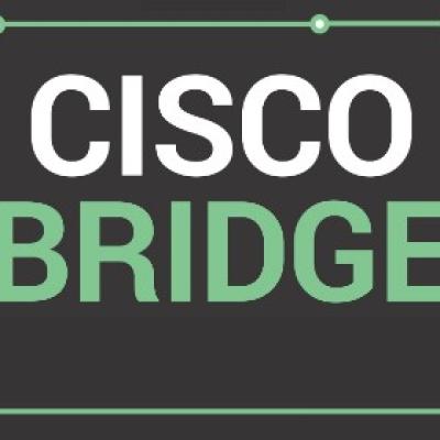 Program szkoleniowo-stażowy w Cisco EMEAR Business Intelligence and Insights Team