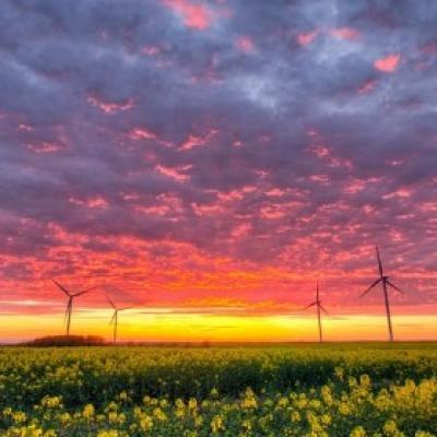 Wygraj płatny staż w jednej z czołowych firm branży energetyki wiatrowej!