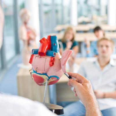 Możliwości wyjazdów na wymianę naukową i praktyki kliniczne dla studentów Wydziału Medycznego