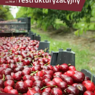 Ukazał się kolejny numer kwartalnika „Doradca restrukturyzacyjny” [nr 28 (2/2022)]