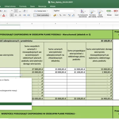 Efektywne czytanie bilansu dłużnika - warsztaty online