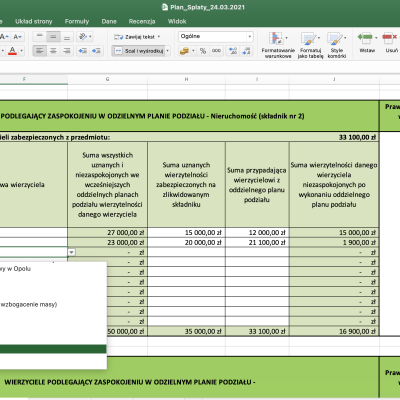 ONLINE COURSE: Spreadsheet for a repayment plan in consumer bankruptcy (2nd edition)