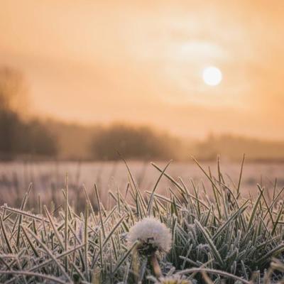 Konkurs fotograficzny „W poszukiwaniu światła” rozstrzygnięty!