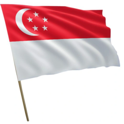 COVID-19 a legislacja w zakresie upadłości i restrukturyzacji.  Singapur.