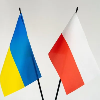 Polish-ukrainian seminar - Subsidiary liability of shareholders and directors: Ukrainian and Polish perspectives