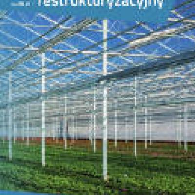 Ukazał się kolejny numer kwartalnika „Doradca restrukturyzacyjny” [nr 16 (2/2019)]