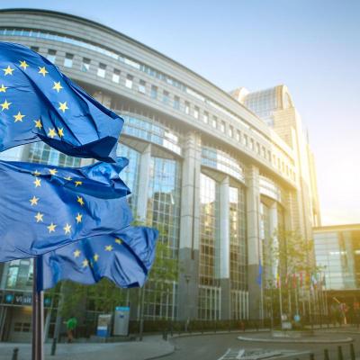 Become a member of the European Parliament for one day!