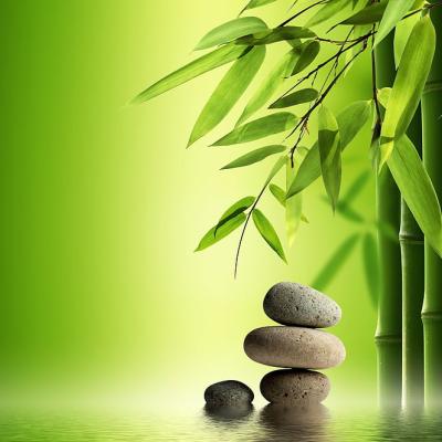 Mindfulness and Self-Compassion for Medical Professionals
