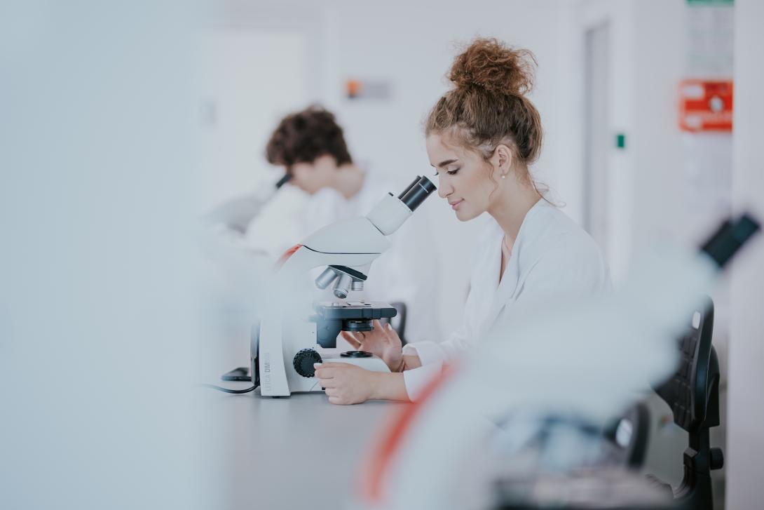 Modele i jakość kształcenia