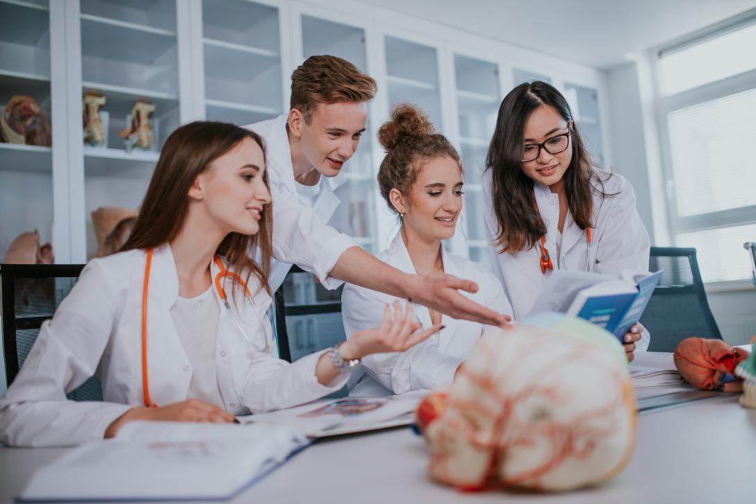 partners of faculty of medicine