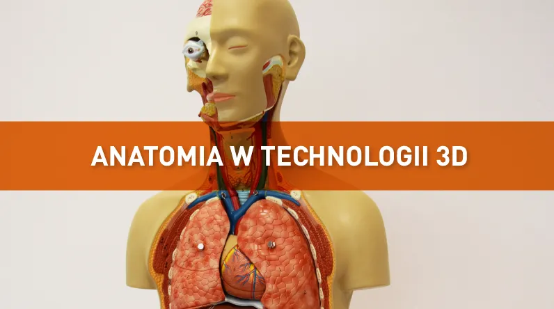 anatomia news