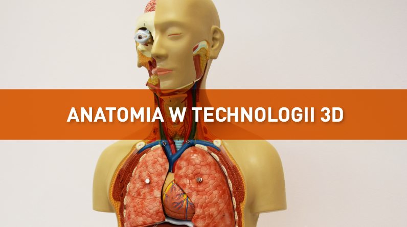 anatomia news