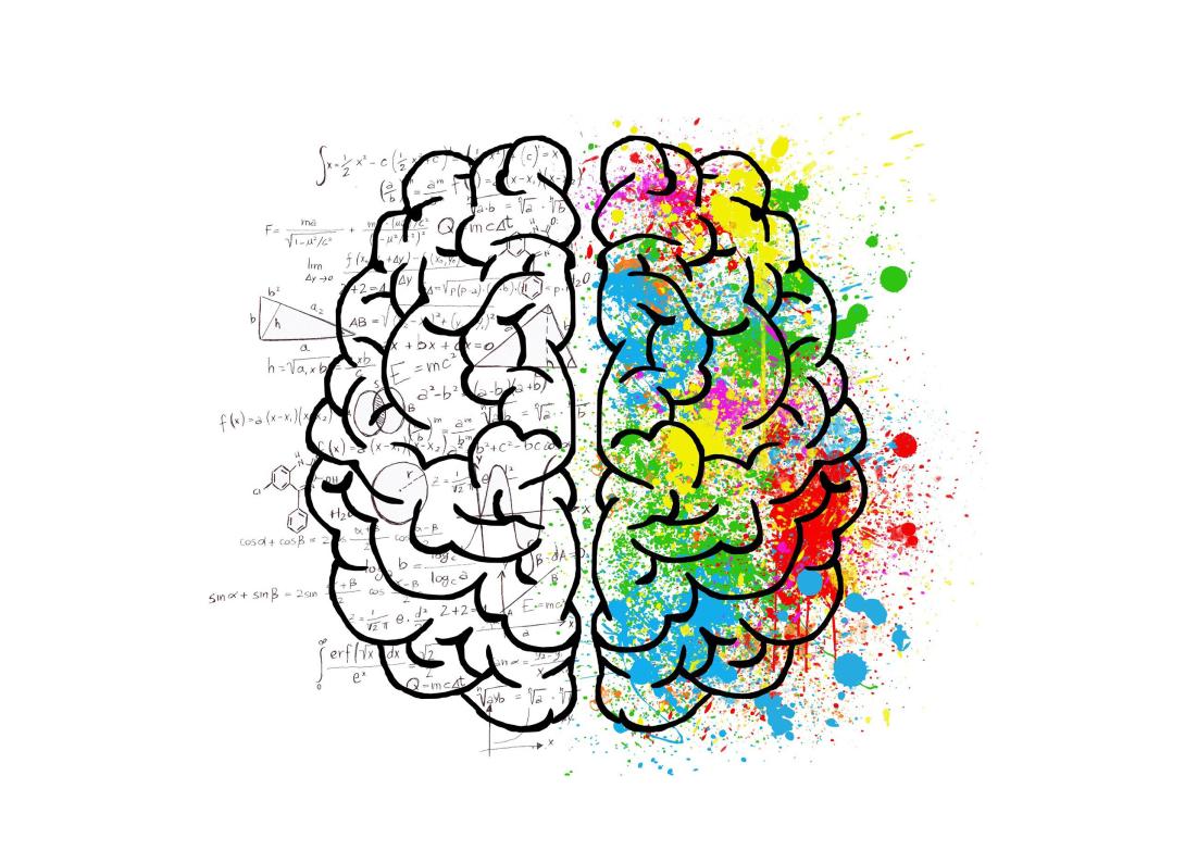 brain 2062057 1920
