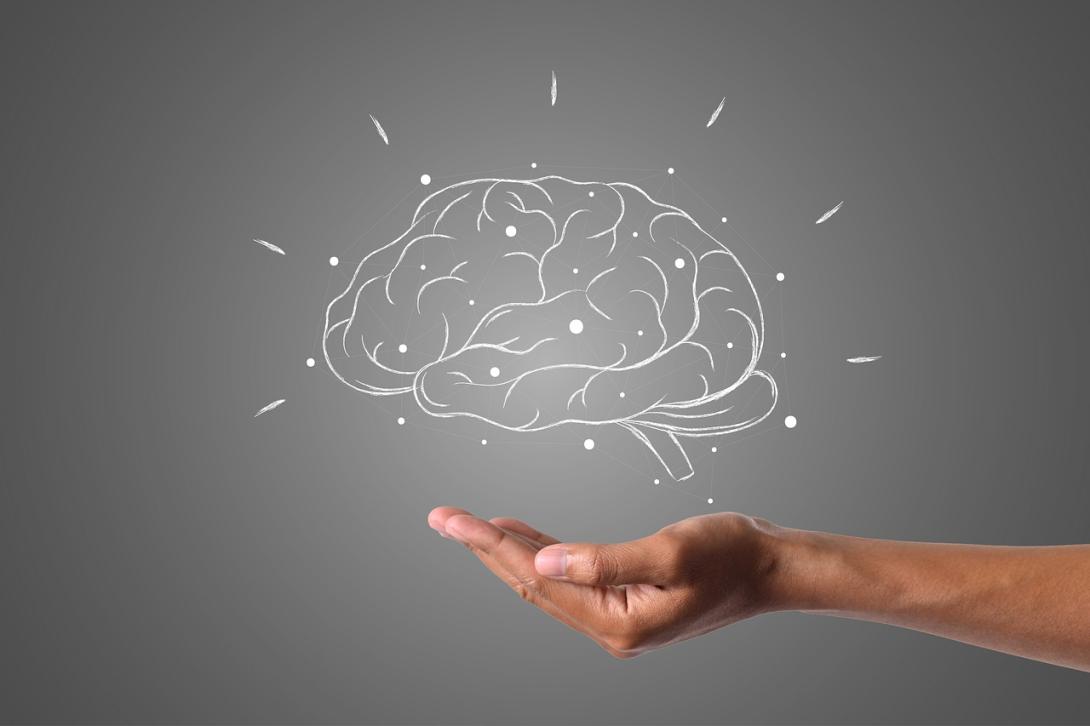 brain 4961452 1280