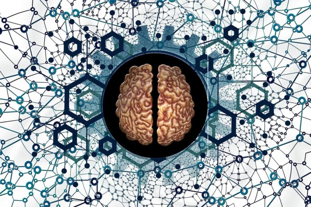 brain 5814971 1280