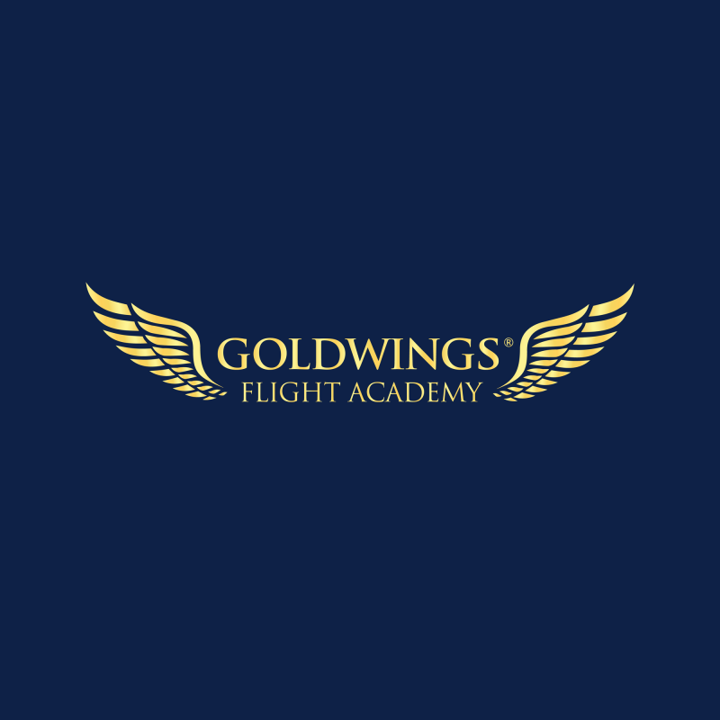 goldwings logo bg 0e2147