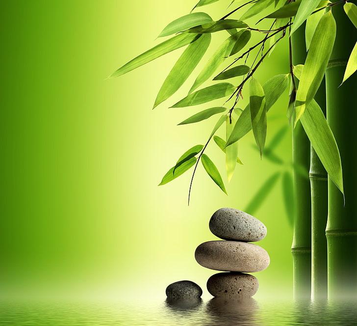 water stones bamboo spa wallpaper preview